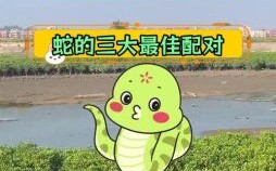 满地小蛇是什么生肖？满地水蛇是代表什么生肖