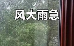 风雨交加是什么生肖？风雨交加打一正确生肖