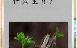 心事自知 是什么生肖？枯木逢春是什么生肖