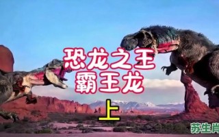 霸王是什么生肖？霸王打一准确动物