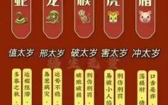 状元武士带红花是什么生肖？武状元带红花正确答案