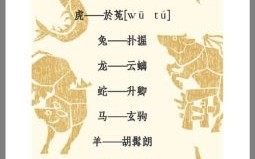 神的代表是什么生肖？神字最佳准确生肖