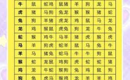 成双成对又分开是什么生肖？成双成对又分开正确答案