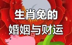 兔的贵人是什么生肖？兔的贵人第一名