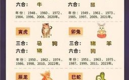 过是什么生肖？过打一准确生肖