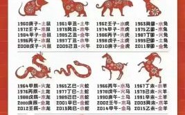 2026年十二生肖全新运程表发布，你的属相将迎来吉运还是挑战？如何通过运程规划让事业财运双丰收？
