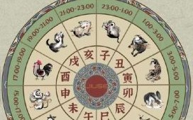 【2026年运终生肖】您是否知晓关键转折点？如何把握生肖运势迎来新周期？