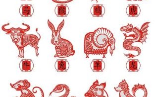 12生肖梨花是什么生肖？十二生肖谁属菊花