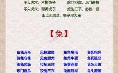 过街喊打是什么生肖？人人喊打的四种动物