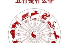 黑生肖白生肖各是什么？十二生肖什么是白肖
