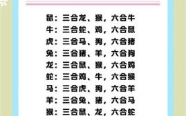 家肖和野肖是什么生肖？野肖有哪些生肖