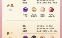 晶生肖是什么？晶字代表什么生肖