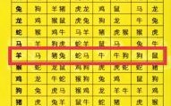 二八共享得四五是什么生肖？二八共享最正确的生肖