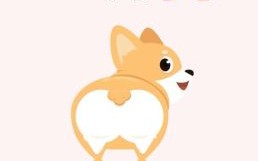 机灵狗是什么生肖？相机而行是什么生肖