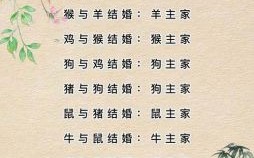 示是什么生肖？示字最准确生肖