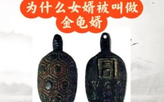 金龟婿是什么生肖？金龟婿打一动物