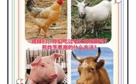 美食的生肖是什么？食打一生肖动物