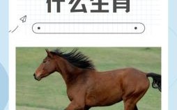 狗羊相斗谁胜败是什么生肖？狗羊马打一生肖