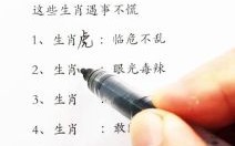 文章是什么生肖？文章打一准确动物