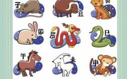 一算四六是什么生肖？四六打一生肖动物