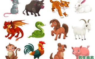 爱贪的生肖是什么动物？贪代表什么生肖