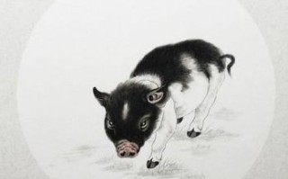 头顶半边天是什么生肖？顶天立地打一正确生肖