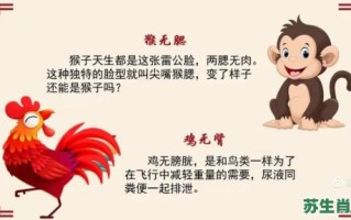 坏人遭雷劈是什么生肖？天有雷公打一最佳生肖