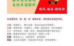 公孙是什么生肖？公孙娘娘舞剑气是什么生肖