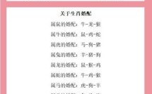 月份属相是什么生肖？月份代表的生肖是什么