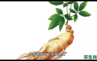 百草大王是什么生肖？百草大王指谁