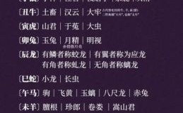 骄子是什么生肖？娇子十二生肖