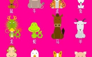 夺宝是什么生肖？夺指什么动物生肖