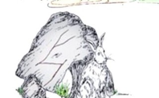 千军万马是什么生肖？千军万马最准确动物