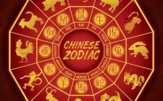 欲钱花园里找是什么生肖？花园里找最准确的生肖