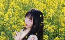 油菜花是什么生肖？油菜花的暗语是什么