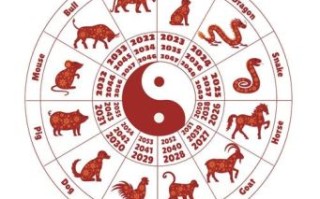 胆小的动物是什么生肖？胆小打一准确生肖