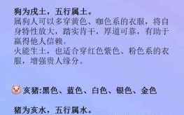 红绿生肖是什么生肖？红绿最佳答案一肖