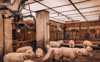 羊圈之内是什么生肖？羊圈之内打一数字