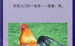 老蚌生珠是什么生肖？剖蚌求珠打一个生肖