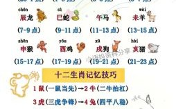 肋是什么生肖？肝打一生肖动物