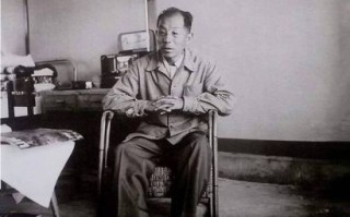 张学良生肖是什么？张学良打一生肖