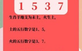 四季轮转有规律是什么生肖？四季轮转打一个数字