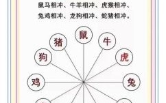天下一家解是什么生肖？天下一家代表什么生肖动物