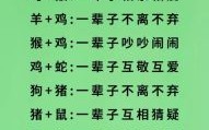 相亲相爱的是什么生肖？相亲相爱打一准确生肖