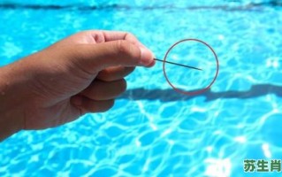 大海捞针是什么生肖？大海捞针打准确一生肖