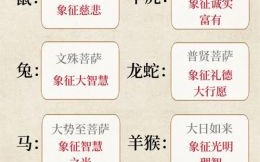 菩提祖师是什么生肖？菩提打一最佳生肖