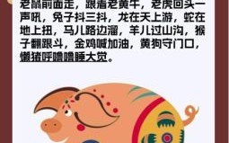 一九合数是什么生肖？今晚正确一肖生肖