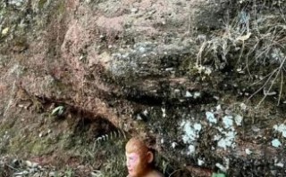 五指山下是什么生肖？五指山上人中人正确动物