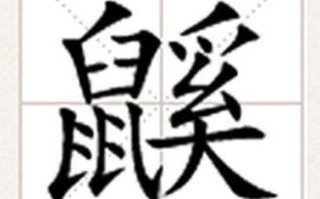 絺是什么生肖？絺代表什么动物