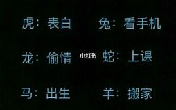 河里拉屎是什么生肖？河里拉屎打一准确生肖